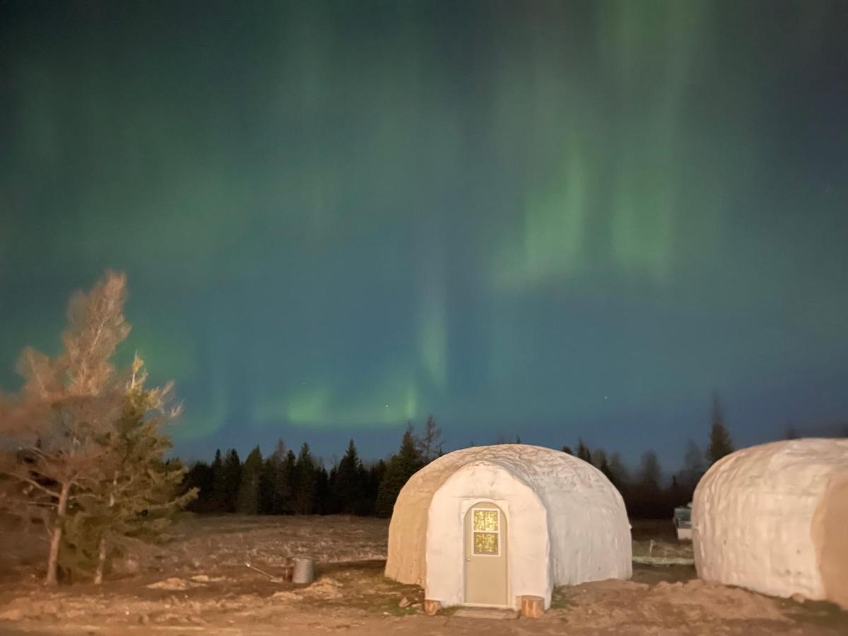 North Adventure Inn Cochrane Dış mekan fotoğraf