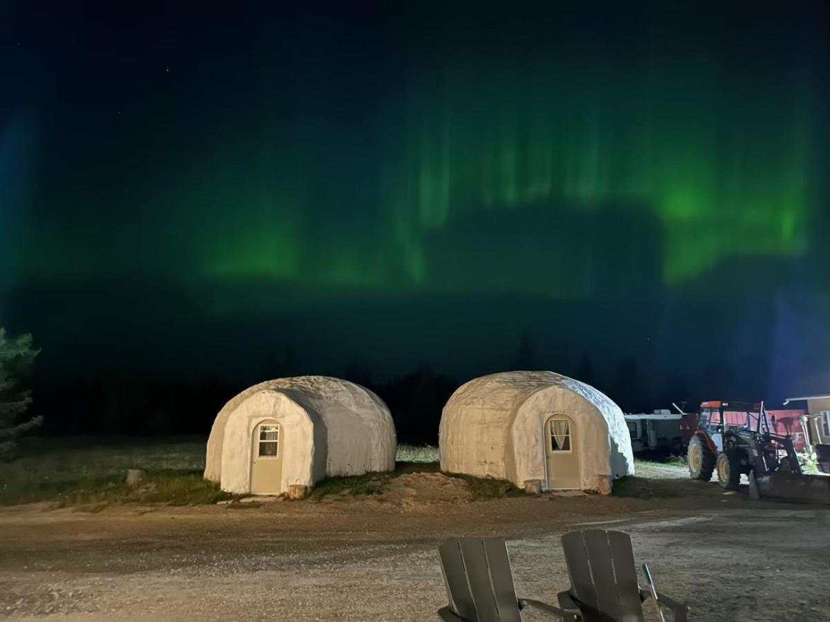 North Adventure Inn Cochrane Dış mekan fotoğraf